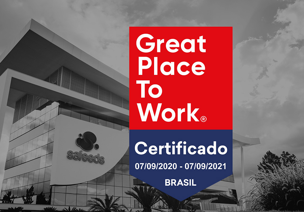 Safeeds recebe selo Great Place To Work